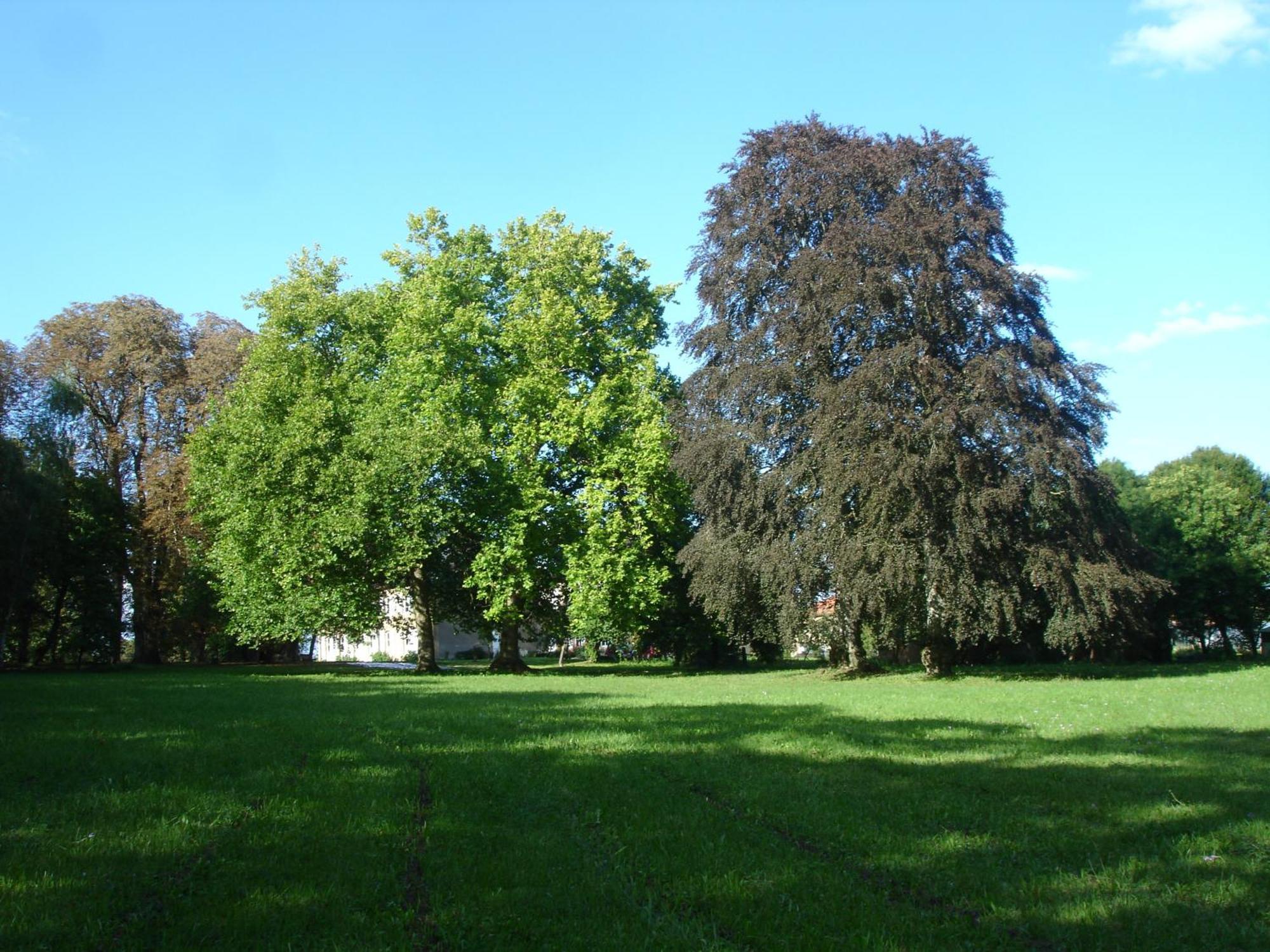 Maison D'Hotes Le Chateau De Puxe Экстерьер фото