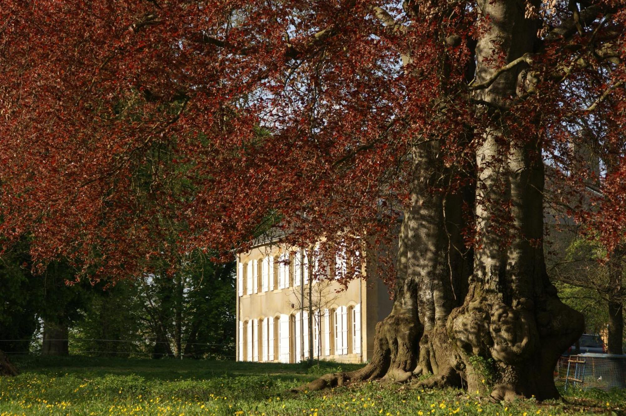 Maison D'Hotes Le Chateau De Puxe Экстерьер фото